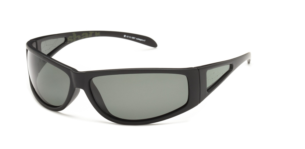 Очки Solano FL1007