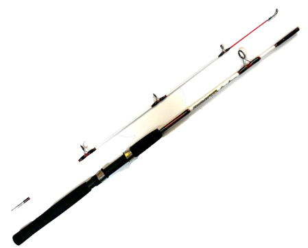 Спиннинг штекерный Osprey Sea Runner 1,65м 100-250г