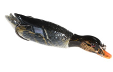 Воблер Jaxon Atract Happy Duck 13см 25г (B)