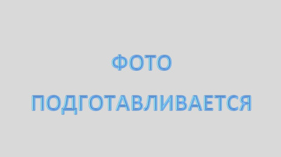 Садок железный 33*45