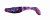 BLUE FOX SDT70 (новый)