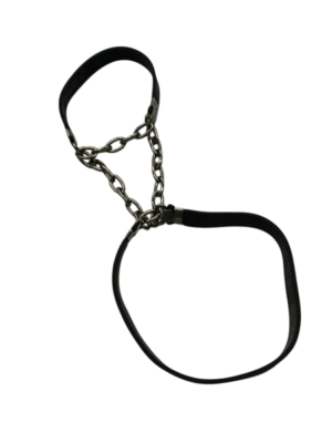 transparent-Photoroom - 2026-02-05T133743.378